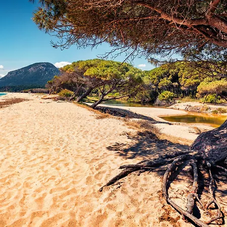 Le Residenze Del Golfo Di 3* Orosei