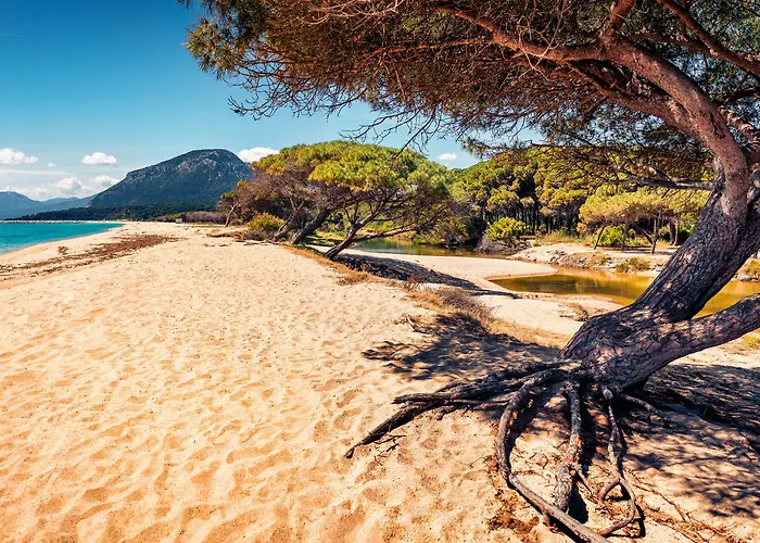 Le Residenze Del Golfo Di 3* Orosei